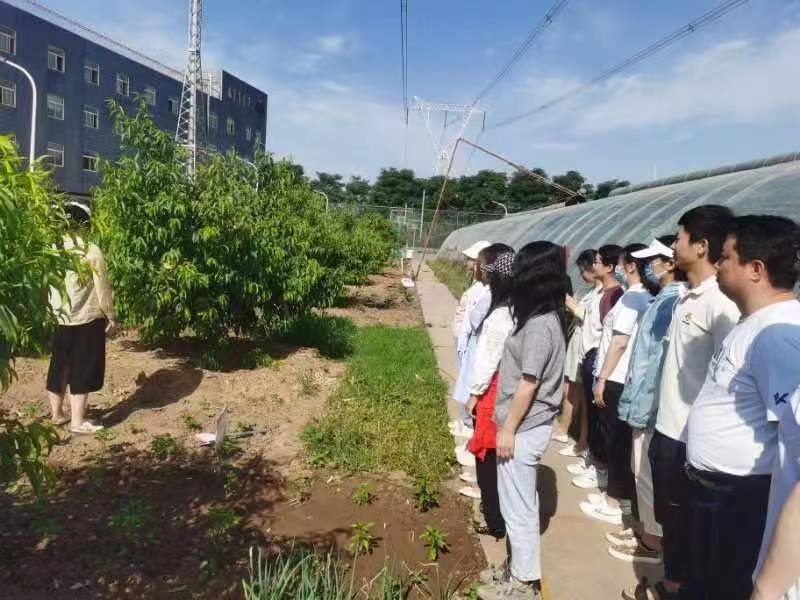 北京阿姆斯桃樹施肥以及所需肥料”專業(yè)知識培訓