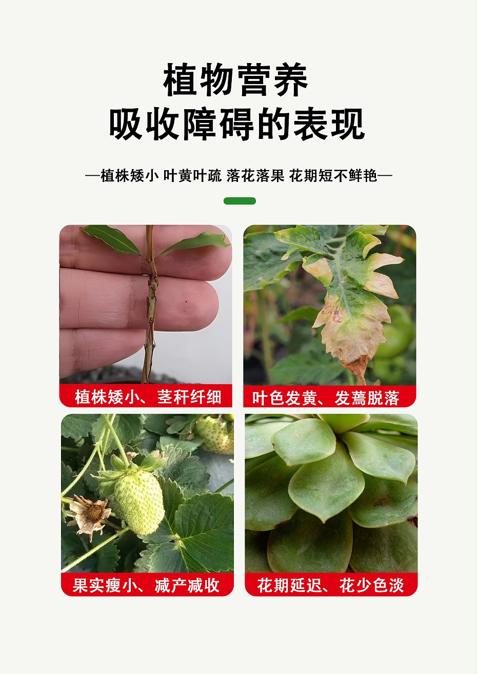 豆豆樂(lè)1